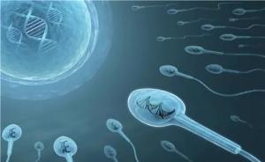 27種病毒可在精液中藏身：包括腮腺炎病毒，或可引發(fā)癌癥