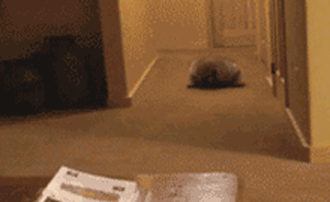 重庆13岁男孩没写完作业谎称被绑架，为逼真在车库地上蹭灰