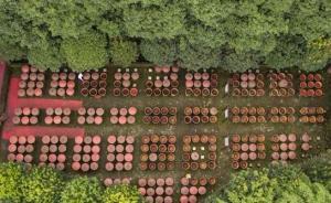 真正的四川辣醬是什么？專家：四川辣醬其實(shí)就是豆瓣醬