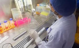 四歲男孩長期腹瀉僅重10公斤，上海醫(yī)生移植糞菌救命