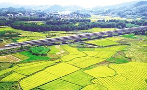 結(jié)構(gòu)調(diào)整顯成效：新業(yè)態(tài)、新產(chǎn)業(yè)成為中國經(jīng)濟發(fā)展的新標簽