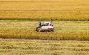 國(guó)家糧食局:中國(guó)啟動(dòng)“優(yōu)質(zhì)糧食工程”,激發(fā)農(nóng)民種糧積極性