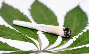 講座︱從“毒品”的歷史中窺探人類“文明”的進(jìn)程