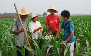 新華每日電訊：某些大學(xué)生社會(huì)實(shí)踐為何淪為作秀