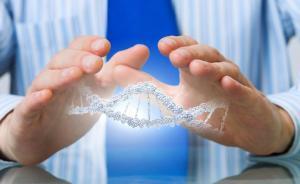 新型碱基编辑器横空出世：人体细胞中效率为50%，不易脱靶