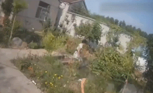 离异女子因琐事跳水塘,民警救人后虚脱