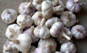 打错了“蒜”盘：大蒜卖1斤亏1元，市场现恐慌性抛售
