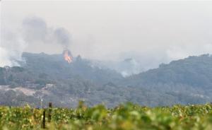 美国加州森林大火肆虐近一月仍未扑灭，已致42人死亡