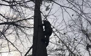 鏡相｜生死打塔人