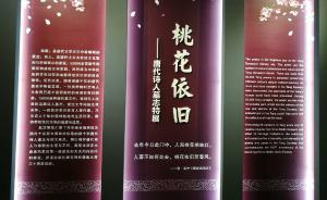 西安碑林“桃花依旧：唐代诗人墓志特展”如何布展