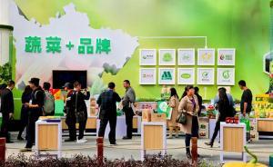 四川彭州舉辦蔬菜博覽會，簽約8個項目總投資49.16億元