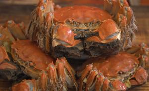 王宝和大厨教你如何优雅吃蟹