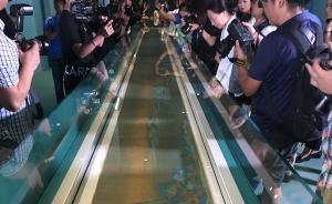 罗青︱俟河之清：宋徽宗为何不重视《千里江山图卷》