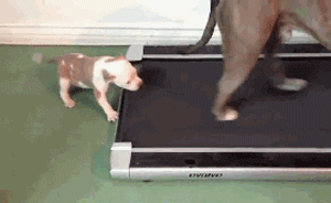 人民日?qǐng)?bào)刊文：不要把孩子的寶貴時(shí)間浪費(fèi)在“搶跑”上