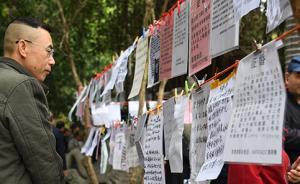 调查：中国单身成年人口相当于俄英人口总和，或有害经济