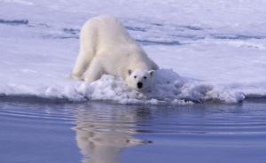 中俄就“冰上絲綢之路”達成新共識，正商談北極航道沿線項目