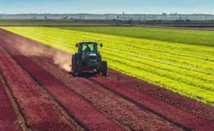 美農(nóng)業(yè)部撤回計(jì)劃:不再把CRISPR作物列入雜草分類(lèi)管理