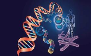 基因武器如何影响未来战争？不动一兵一卒达成军事目的