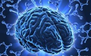 干細胞培育人腦組織開始“發(fā)芽”，科學家呼吁倫理管理需跟上