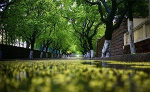 山東6縣市入選國家園林城市縣城，總數(shù)57個(gè)位列全國第一