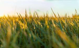 西安一黃金地段上百畝土地閑置14年，檢察建議挽損6.7億