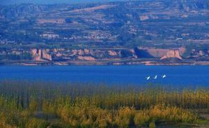 河南通报中央环保督察问责情况：三门峡一市委常委被记过