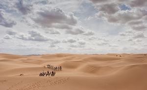 宁夏通报腾格里沙漠整改问责情况：问责12名厅官等125人