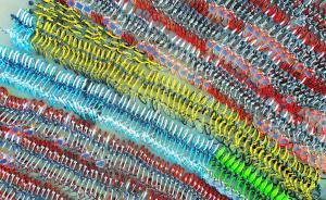 共享單車押金難退，專家建議盡快出臺(tái)全國(guó)性法規(guī)