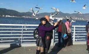 游客在昆明觀賞海鷗時抓一只欲合影，涉非法捕獵被罰625元