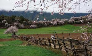 西藏林芝6.9级地震丨中国地震局已启动三级应急响应