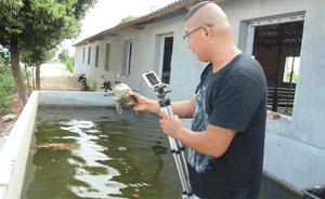 湖北“农二代”直播养鸡赛龟，圈粉赚钱