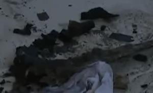 与男主人婚外情,保姆杀死其妻女后纵火