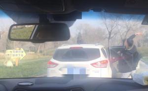 网友称北京大兴野生动物园内有游客砸熊，园方：情况属实