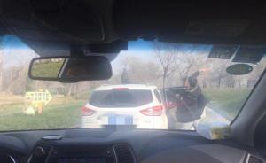 当事游客回应“下车砸熊”：想投喂远处的熊胡萝卜，确有不对