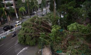 澳門“天鴿”風(fēng)災(zāi)調(diào)查報告出爐，前氣象局長行為可能構(gòu)成違紀(jì)