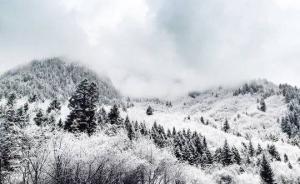 美哭！九寨沟迎震后入冬第一场雪