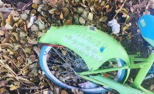 深觀察｜共享單車退押金難：有了信用，還需要押金？