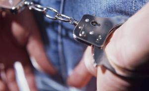 盜墓賊掘西周古墓打傷民警潛逃，被列為A級通緝犯3人投案