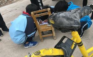 南宁三名“熊孩子”火烧“小黄车”，家长赔付300元车损费