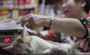 UABB｜街坊鄰里的雜貨鋪