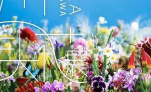 和贾布看展｜蜷川实花摄影展：繁花似锦背后，暗黑的气息涌动
