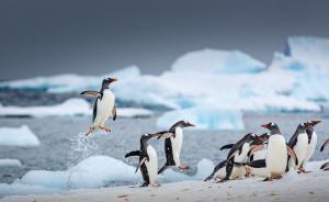 中國(guó)赴南極旅游人數(shù)9年暴漲40倍，有錢又有閑的老人成主力