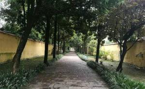 男子身背命案变身身家千万寺庙住持，民警乔装香客取证抓捕