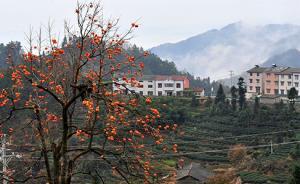 十九大“鄉(xiāng)村振興戰(zhàn)略”解讀及建言