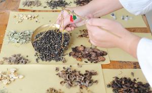 衛(wèi)計(jì)委發(fā)布中醫(yī)診所基本標(biāo)準(zhǔn)：中醫(yī)藥治療率需達(dá)到100%