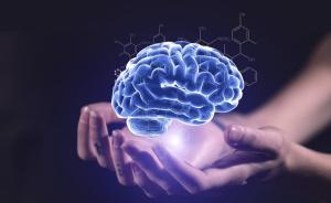 大學(xué)生創(chuàng)業(yè)頻遭侵權(quán)： “雙創(chuàng)”教育呼喚知識產(chǎn)權(quán)保護課程