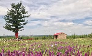 河北塞罕坝林场获颁联合国“地球卫士奖”