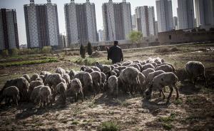 國土部：城鄉(xiāng)建設(shè)用地5年增減掛鉤返還農(nóng)村資金2753億