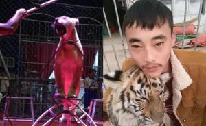 河北马戏团运输动物涉罪案两名团主终审改判无罪
