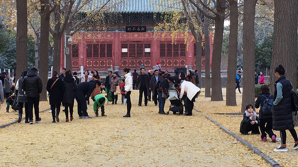 微信图片_20171210080835